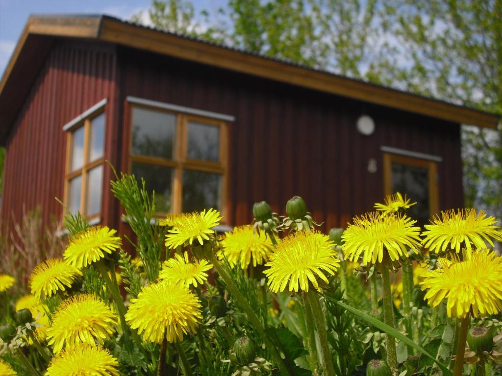 Guesthouse Petursborg Akureyri Kamer foto