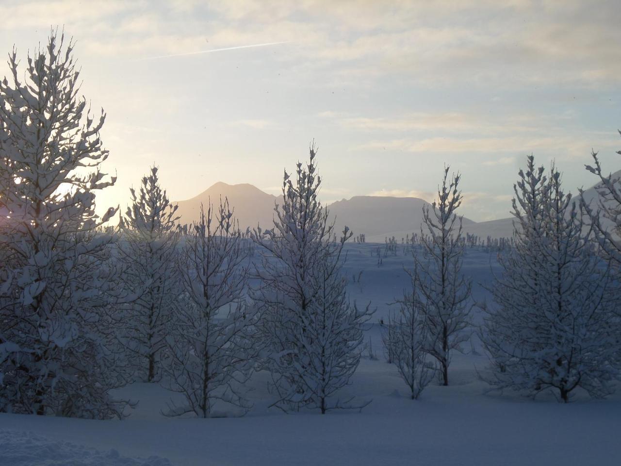 Guesthouse Petursborg Akureyri Buitenkant foto